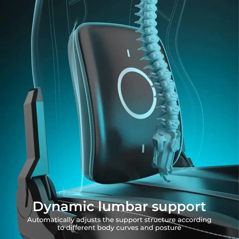 Low SignalX C-L42R Ergonomic Gaming Chair (Morphling Design)