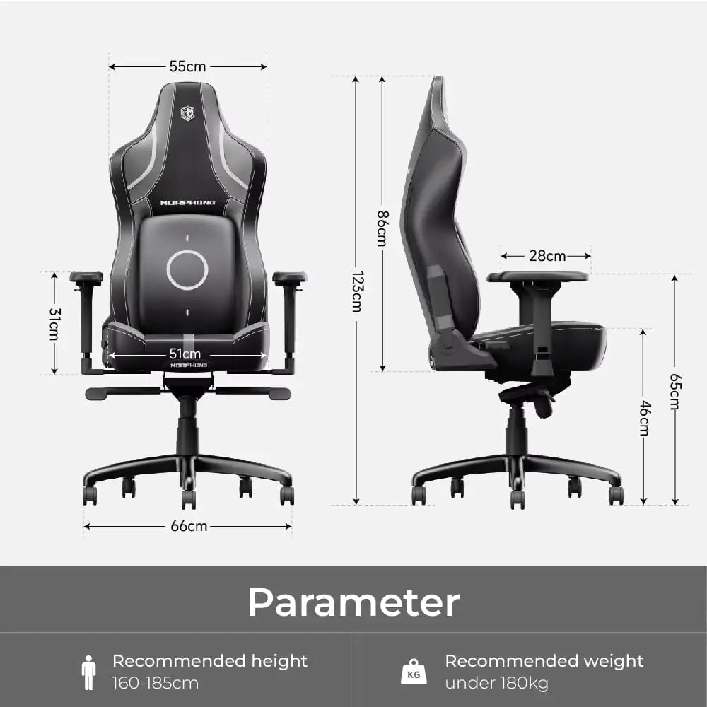 Low SignalX C-L42R Ergonomic Gaming Chair (Morphling Design)